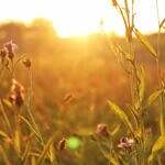 Do you suffer from Autumn Anxiety?